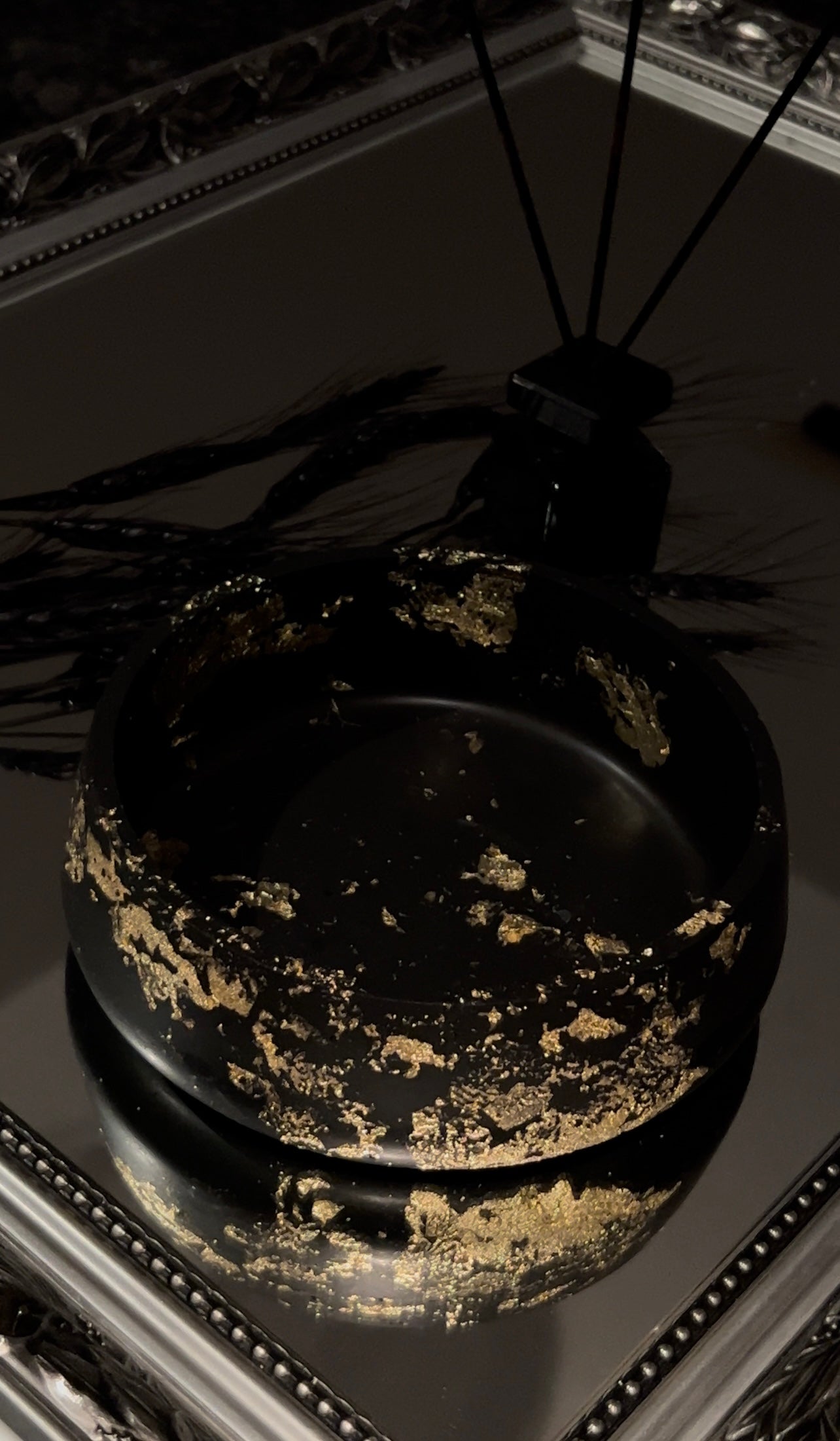 Black Gold Potted